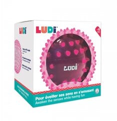 Mankštos kamuolys Ludi, rožinis 20 cm цена и информация | Игрушки для малышей | pigu.lt