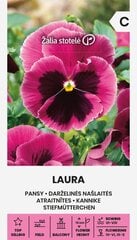 Darželinės našlaitės Laura kaina ir informacija | Gėlių sėklos | pigu.lt