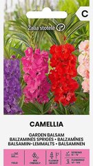 Balzaminės sprigės Sprigės Camellia цена и информация | Семена цветов | pigu.lt