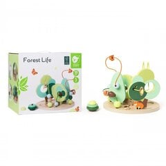 Lavinamasis labirintas Classic World Forest Life цена и информация | Игрушки для малышей | pigu.lt