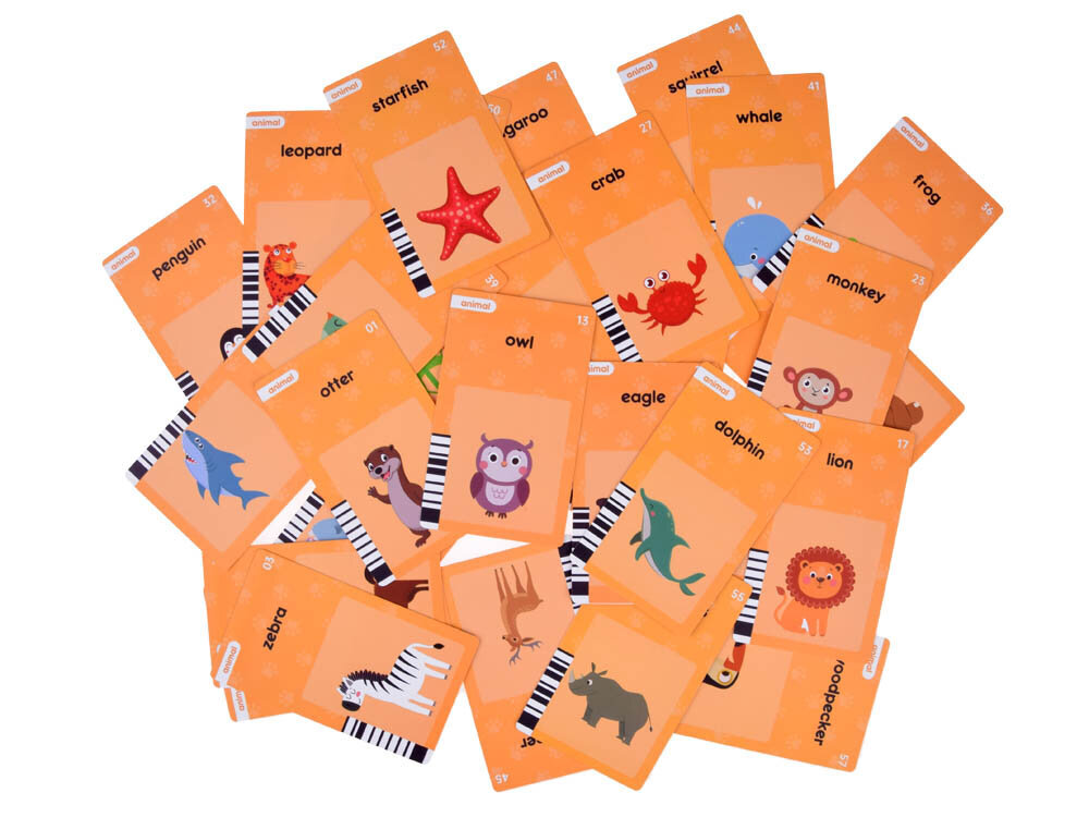 Anglų kalbos kortelių skaitytuvas Jokomisiada, 240 vnt, raudonas kaina ir informacija | Lavinamieji žaislai | pigu.lt
