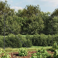 vidaXL Tinklinė tvora su smaigais, antracito spalvos, 2,2x10m kaina ir informacija | Tvoros ir jų priedai | pigu.lt