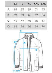 Зимняя куртка мужская Edoti C575 цена и информация | Мужские куртки | pigu.lt