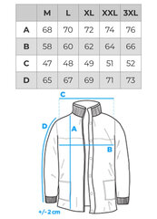 Зимняя куртка мужская Edoti C571 цена и информация | Мужские куртки | pigu.lt