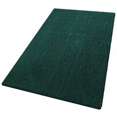 Home-carpets kilimas shaggy 120 x 170 cm kaina ir informacija | Kilimai | pigu.lt