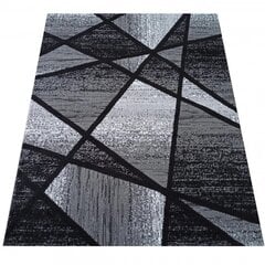 Pani kilimas 120 x 170 cm kaina ir informacija | Kilimai | pigu.lt