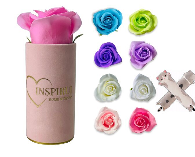 Muilo rožė Belsi+ Pliušinė pagalvė Katė, 50 cm цена и информация | Kitos originalios dovanos | pigu.lt