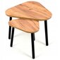 Kavos staliukų komplektas Lehmann Loft Table2, 56x54x42 cm, rudas цена и информация | Kavos staliukai | pigu.lt