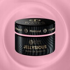 Nagų priauginimo gelis Boska Nails Jellysious, 50 ml kaina ir informacija | Nagų lakai, stiprintojai | pigu.lt