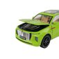 Žaislinis automobilis Lean Toys RC Car Model 1:24 C, žalias kaina ir informacija | Žaislai berniukams | pigu.lt