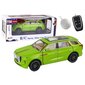 Žaislinis automobilis Lean Toys RC Car Model 1:24 C, žalias цена и информация | Žaislai berniukams | pigu.lt