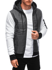 весенне-осенняя куртка c621 - серый цена и информация | Мужские куртки | pigu.lt