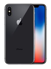 Apple iPhone X цена и информация | Мобильные телефоны | pigu.lt