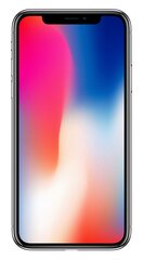 Apple iPhone X kaina ir informacija | Mobilieji telefonai | pigu.lt