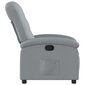 Svetainės fotelis vidaXL, pilkas kaina ir informacija | Svetainės foteliai | pigu.lt