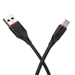 Borofone Cable BX80 Succeed - USB to Type C - 3A 1 metre white цена и информация | Кабели и провода | pigu.lt