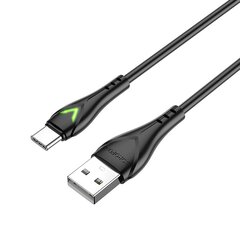 Borofone Cable BX65 Bright - USB to Type C - 2A 1 metre black цена и информация | Кабели и провода | pigu.lt