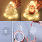 Kalėdinės lemputės su 10 eglučių ir kalėdinėmis dekoracijomis eglutėse, 3m, 120 LED, LIVMAN XY-005 kaina ir informacija | Girliandos | pigu.lt