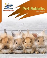 Reading Planet: Rocket Phonics - Target Practice - Pet Rabbits - Orange цена и информация | Книги для подростков и молодежи | pigu.lt
