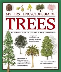 My First Encyclopedia of Trees (giant Size): A Great Big Book of Amazing Plants to Discover цена и информация | Книги для подростков  | pigu.lt