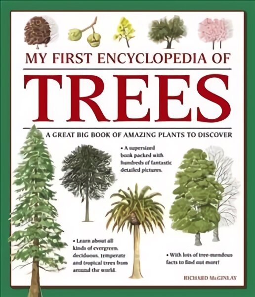 My First Encyclopedia of Trees (giant Size): A Great Big Book of Amazing Plants to Discover цена и информация | Knygos paaugliams ir jaunimui | pigu.lt