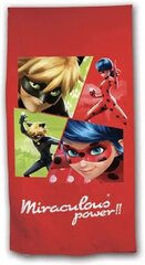 Rankšluostis Miraculous Ladybug, 70x140 cm kaina ir informacija | Rankšluosčiai | pigu.lt