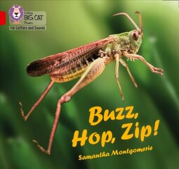 Buzz, Hop, Zip!: Band 02a/Red a kaina ir informacija | Knygos paaugliams ir jaunimui | pigu.lt