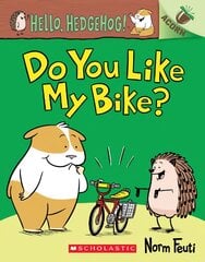 Hello, Hedgehog: Do You Like My Bike? цена и информация | Книги для малышей | pigu.lt