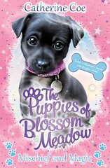 Mischief and Magic (Puppies of Blossom Meadow #2) цена и информация | Книги для подростков и молодежи | pigu.lt