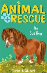 Sad Pony цена и информация | Книги для подростков  | pigu.lt