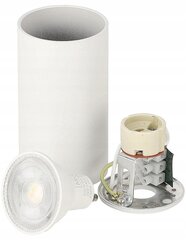 Lubinis šviestuvas Berge White цена и информация | Потолочные светильники | pigu.lt