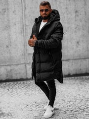 Зимняя куртка из очень прочной ткани рипстоп цена и информация | Мужские куртки | pigu.lt