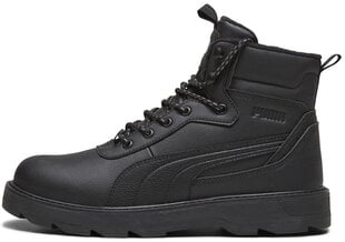 Puma Обувь Desierto v3 Black 392626 01 392626 01/8.5 цена и информация | Кроссовки для мужчин | pigu.lt