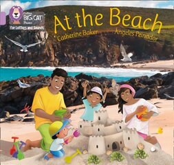 At the Beach: Band 00/Lilac цена и информация | Книги для подростков  | pigu.lt