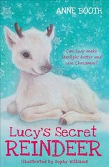 Lucy's Secret Reindeer цена и информация | Книги для подростков и молодежи | pigu.lt