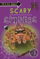 It's All About... Scary Spiders kaina ir informacija | Knygos paaugliams ir jaunimui | pigu.lt