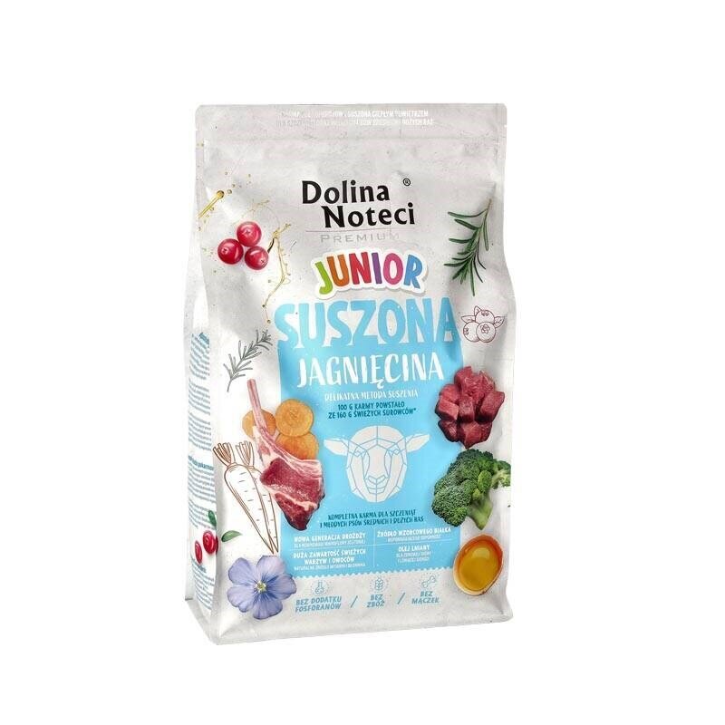 Dolina Noteci Premium Junior jauniems šunims su erėna, 4 kg kaina ir informacija | Sausas maistas šunims | pigu.lt