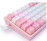 Redragon K617-RGB Pink цена и информация | Klaviatūros | pigu.lt