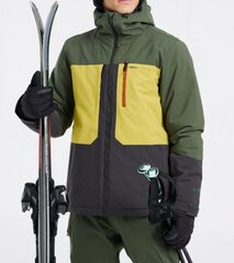 Slidinėjimo striukė vyrams Protest, žalia kaina ir informacija | Vyriškа slidinėjimo apranga | pigu.lt