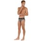 Trumpikės vyrams HOM Silvester Mini Briefs I004 9009984245545, pilkos цена и информация | Trumpikės | pigu.lt