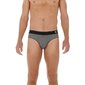 Trumpikės vyrams HOM Silvester Mini Briefs I004 9009984245545, pilkos kaina ir informacija | Trumpikės | pigu.lt