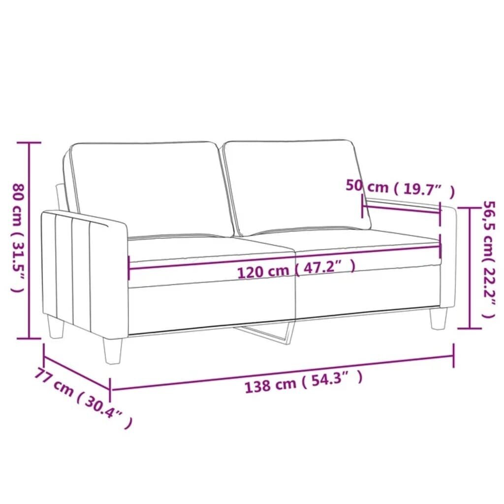 Dvivietė sofa vidaXL, juoda kaina ir informacija | Sofos | pigu.lt