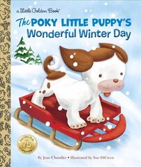 Poky Little Puppy's Wonderful Winter Day kaina ir informacija | Knygos mažiesiems | pigu.lt