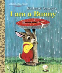I Am A Bunny kaina ir informacija | Knygos paaugliams ir jaunimui | pigu.lt