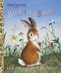 Home for a Bunny: A Bunny Book for Kids цена и информация | Книги для малышей | pigu.lt