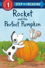 Rocket and the Perfect Pumpkin kaina ir informacija | Knygos paaugliams ir jaunimui | pigu.lt