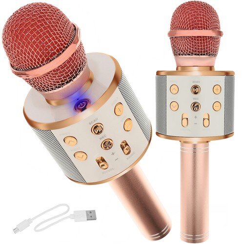 Izoxis 22190 цена и информация | Mikrofonai | pigu.lt