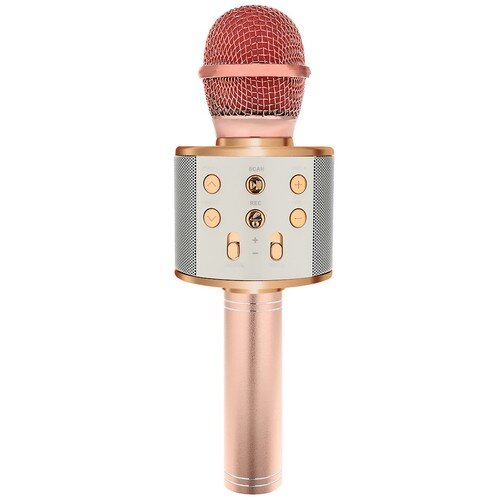 Izoxis 22190 цена и информация | Mikrofonai | pigu.lt
