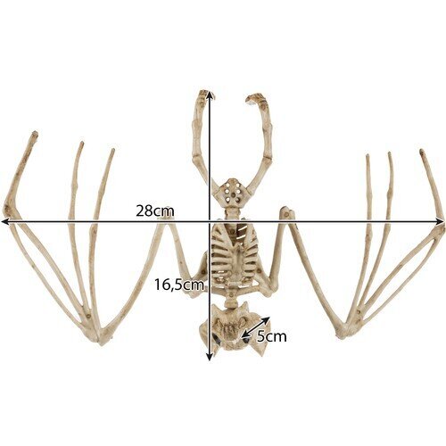 Šikšnosparnio skeletas, 30 cm цена и информация | Dekoracijos šventėms | pigu.lt