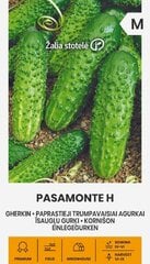 Paprastieji trumpavaisiai agurkai Pasamonte H kaina ir informacija | Daržovių, uogų sėklos | pigu.lt